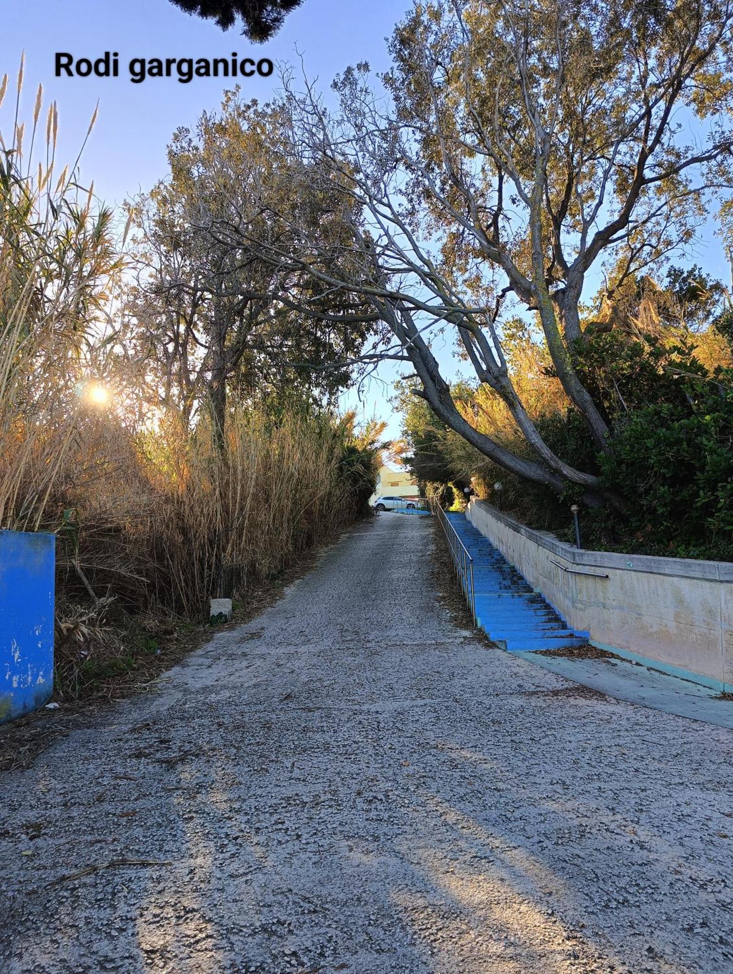 הוילה פוצ'ה ואראנו Marechiaro מראה חיצוני תמונה
